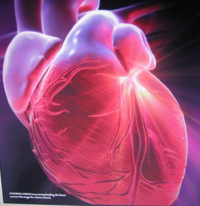 El corazon humano trabajando toda una Vida