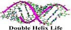 Life and Double Helix Creations