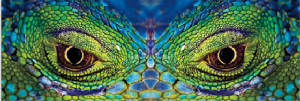 The Visual Brain and Memory goes back to Dinotimes. A very highly developed Attribute of LIFE.