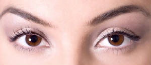 Vision and memory are the most Precious Gifts of Evolution.