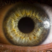Human-Eye