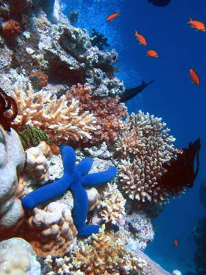 Links between living beings are eternal and primordial.