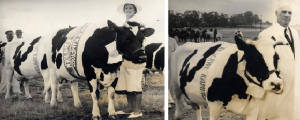 Wikus von Wielligh met die Vic Alfa Stoet