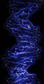 The spiral structure of DNA was discovered by Rosalind Franklin by means of X-Ray crystallography