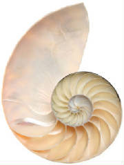Life is the reason why the universe is expanding, = Growth rate of Life, = the second Bbang of Re-Creation.