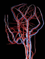 Recycling like Veins and Arteries
