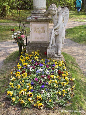 Rufus/image191.jpg