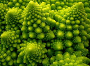 We are all Alive Now, help each other to get along with evolution to come to flower.