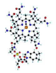Many Atoms make up a Molecule