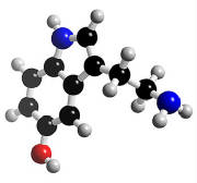 Serotonin in 3D.