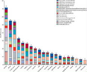 Substances drug harms - take note the lowest three. Highest is Alcohol