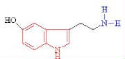 Seroton the happy hormone - Indole in red
