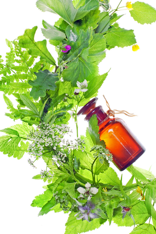 Substances from Nature is the Essence of Life.