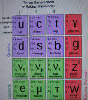 The Atributes of Fermions in the World of Matter