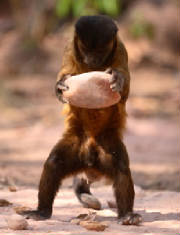 Admire this determination and persistance.