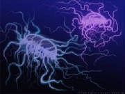 Water world Jelly Crobes